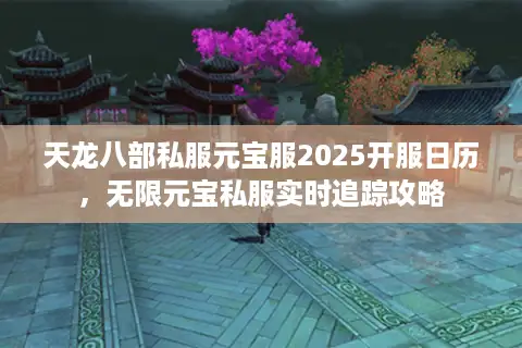 天龙八部私服元宝服2025开服日历，无限元宝私服实时追踪攻略