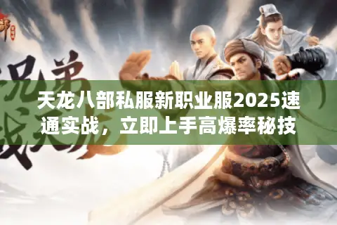 天龙八部私服新职业服2025速通实战,立即上手高爆率秘技 天龙八部私服新职业服2025速通实战,立即上手高爆率秘技