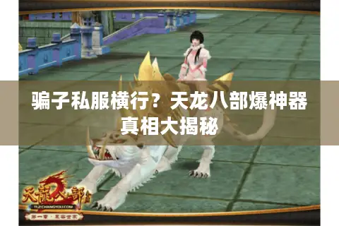 骗子私服横行?天龙八部爆神器真相大揭秘 骗子私服横行?天龙八部爆神器真相大揭秘