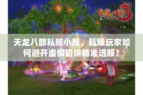 天龙八部私服小服，私服玩家如何避开虚假陷阱精准选服？