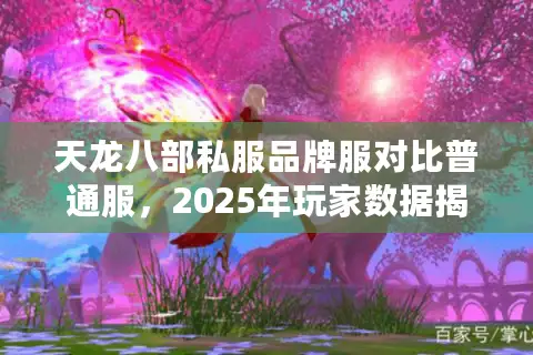 天龙八部私服品牌服对比普通服，2025年玩家数据揭秘
