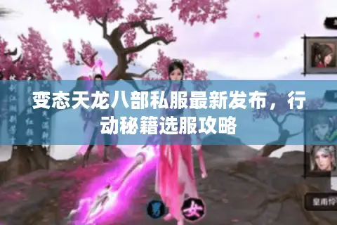 变态天龙八部私服最新发布，行动秘籍选服攻略