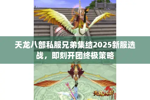 天龙八部私服兄弟集结2025新服选战，即刻开团终极策略