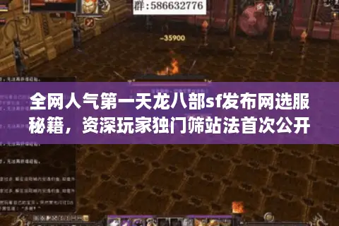 全网人气第一天龙八部sf发布网选服秘籍，资深玩家独门筛站法首次公开