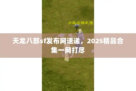 天龙八部sf发布网速递，2025精品合集一网打尽