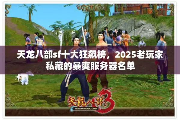 天龙八部sf十大狂飙榜，2025老玩家私藏的暴爽服务器名单