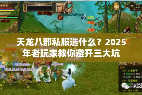 天龙八部私服选什么?2025年老玩家教你避开三大坑 天龙八部私服选什么?2025年老玩家教你避开三大坑