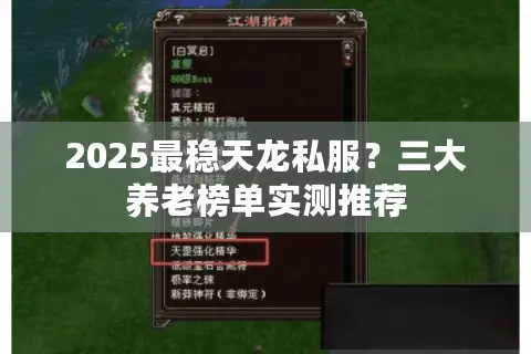 2025最稳天龙私服?三大养老榜单实测推荐 2025最稳天龙私服?三大养老榜单实测推荐
