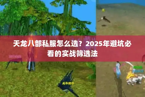 天龙八部私服怎么选？2025年避坑必看的实战筛选法