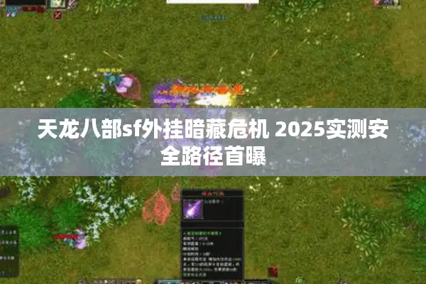 天龙八部sf外挂暗藏危机 2025实测安全路径首曝