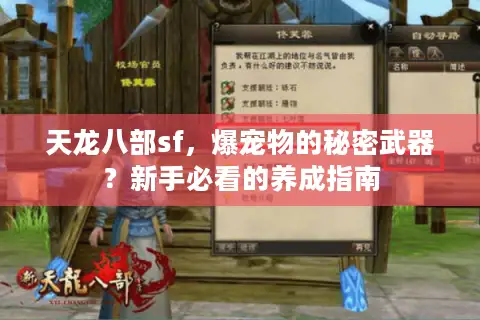 天龙八部sf，爆宠物的秘密武器？新手必看的养成指南