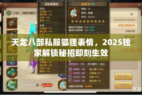 天龙八部私服狐狸表情，2025独家解锁秘招即刻生效