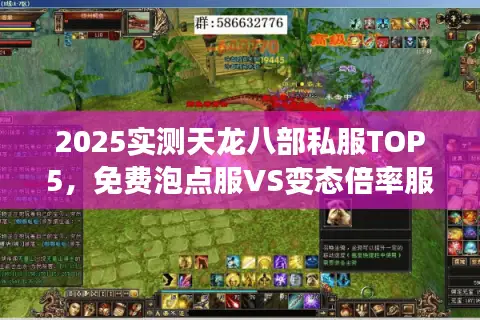 2025实测天龙八部私服TOP5，免费泡点服VS变态倍率服数据拆解