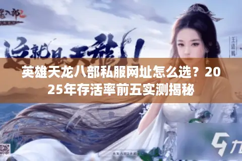 英雄天龙八部私服网址怎么选？2025年存活率前五实测揭秘