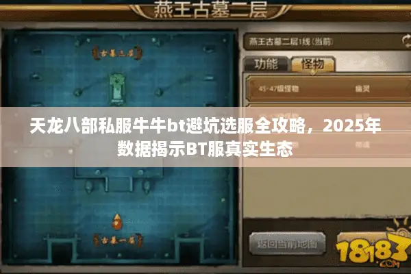 天龙八部私服牛牛bt避坑选服全攻略，2025年数据揭示BT服真实生态