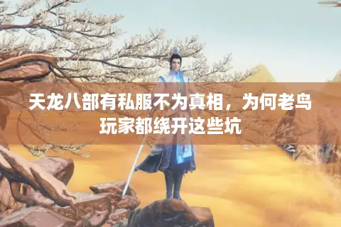 天龙八部有私服不为真相，为何老鸟玩家都绕开这些坑