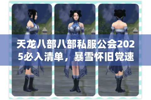 天龙八部八部私服公会2025必入清单,暴雪怀旧党速存 天龙八部八部私服公会2025必入清单,暴雪怀旧党速存