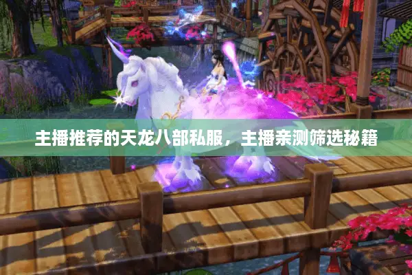 主播推荐的天龙八部私服，主播亲测筛选秘籍