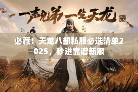 必藏！天龙八部私服必选清单2025，秒进靠谱新服
