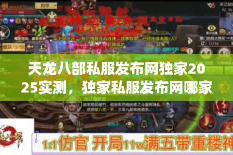 天龙八部私服发布网独家2025实测，独家私服发布网哪家强？