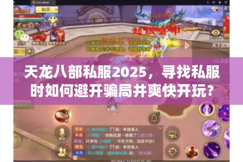 天龙八部私服2025，寻找私服时如何避开骗局并爽快开玩？