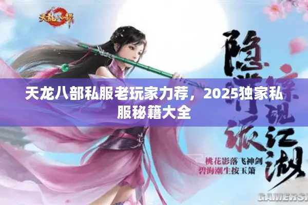天龙八部私服老玩家力荐,2025独家私服秘籍大全 天龙八部私服老玩家力荐,2025独家私服秘籍大全