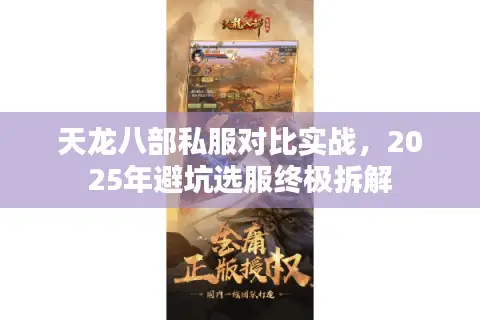天龙八部私服对比实战,2025年避坑选服终极拆解 天龙八部私服对比实战,2025年避坑选服终极拆解
