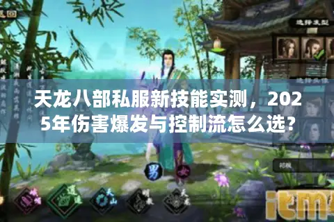天龙八部私服新技能实测,2025年伤害爆发与控制流怎么选? 天龙八部私服新技能实测,2025年伤害爆发与控制流怎么选?