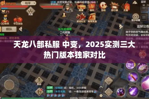 天龙八部私服 中变，2025实测三大热门版本独家对比