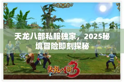 天龙八部私服独家,2025秘境冒险即刻探秘 天龙八部私服独家,2025秘境冒险即刻探秘