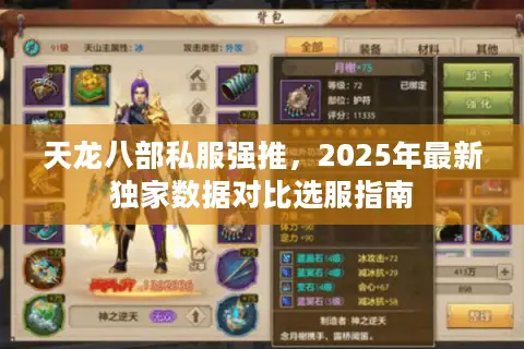 天龙八部私服强推,2025年最新独家数据对比选服指南 天龙八部私服强推,2025年最新独家数据对比选服指南