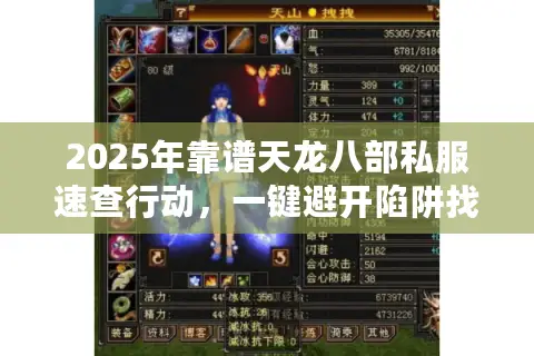 2025年靠谱天龙八部私服速查行动，一键避开陷阱找稳定服