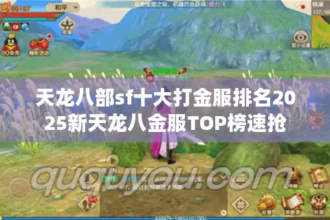 天龙八部sf十大打金服排名2025新天龙八金服TOP榜速抢