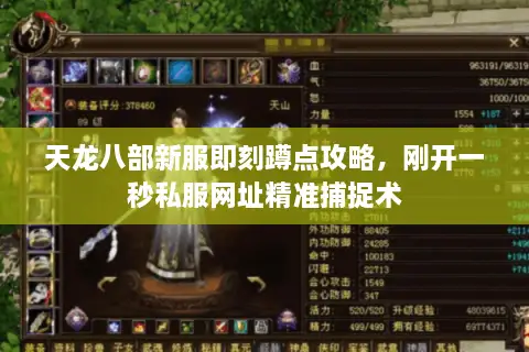 天龙八部新服即刻蹲点攻略,刚开一秒私服网址精准捕捉术 天龙八部新服即刻蹲点攻略,刚开一秒私服网址精准捕捉术