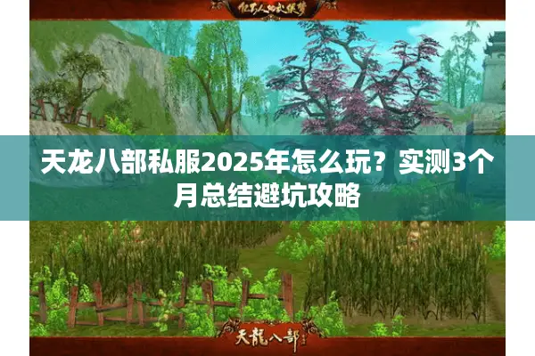 天龙八部私服2025年怎么玩？实测3个月总结避坑攻略