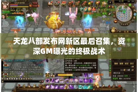天龙八部发布网新区最后召集，资深GM曝光的终极战术