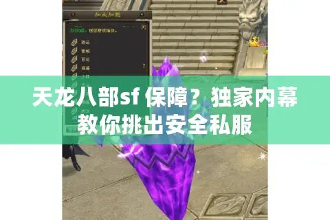 天龙八部sf 保障？独家内幕教你挑出安全私服