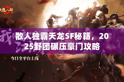 散人独霸天龙SF秘籍,2025野团碾压豪门攻略 散人独霸天龙SF秘籍,2025野团碾压豪门攻略