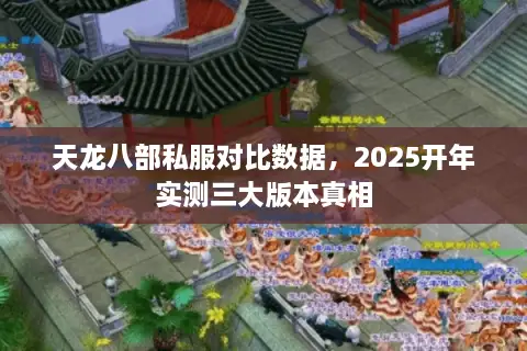 天龙八部私服对比数据,2025开年实测三大版本真相 天龙八部私服对比数据,2025开年实测三大版本真相