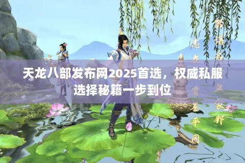 天龙八部发布网2025首选，权威私服选择秘籍一步到位