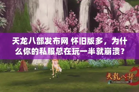 天龙八部发布网 怀旧版多，为什么你的私服总在玩一半就崩溃？