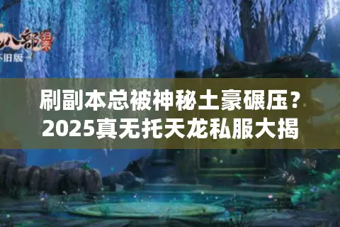刷副本总被神秘土豪碾压?2025真无托天龙私服大揭秘 刷副本总被神秘土豪碾压?2025真无托天龙私服大揭秘