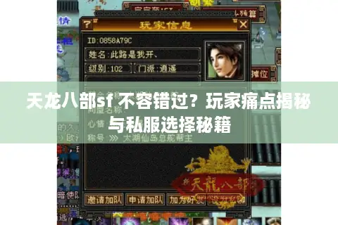 天龙八部sf 不容错过？玩家痛点揭秘与私服选择秘籍