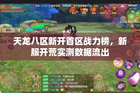 天龙八区新开首区战力榜，新服开荒实测数据流出