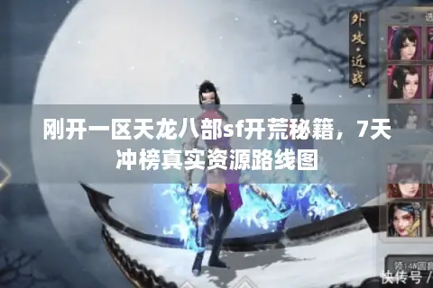刚开一区天龙八部sf开荒秘籍，7天冲榜真实资源路线图