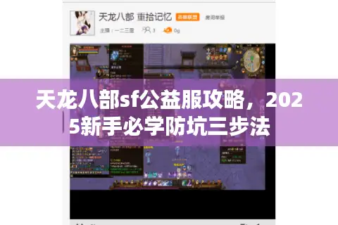 天龙八部sf公益服攻略，2025新手必学防坑三步法