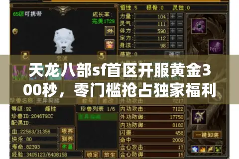 天龙八部sf首区开服黄金300秒,零门槛抢占独家福利路线图 天龙八部sf首区开服黄金300秒,零门槛抢占独家福利路线图