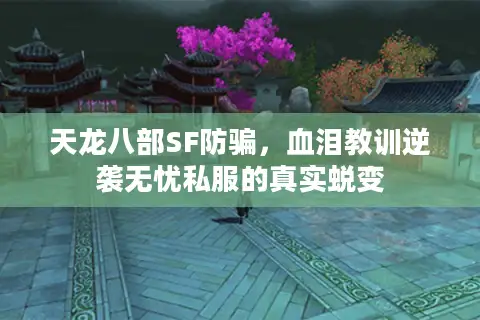 天龙八部SF防骗，血泪教训逆袭无忧私服的真实蜕变