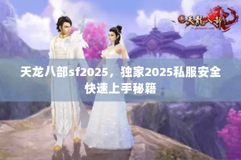 天龙八部sf2025，独家2025私服安全快速上手秘籍