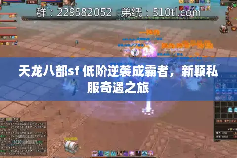 天龙八部sf 低阶逆袭成霸者，新颖私服奇遇之旅